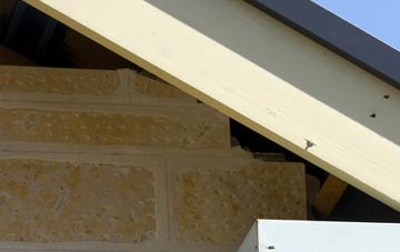 soffit repair Millhouses